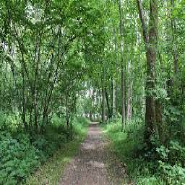 Offres de vente Terrain Cabasse 83340